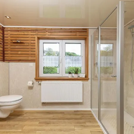 Broche 希尔兴巴赫