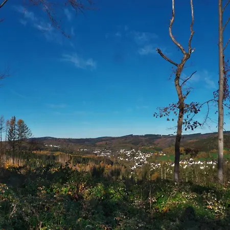 Broche * 希尔兴巴赫