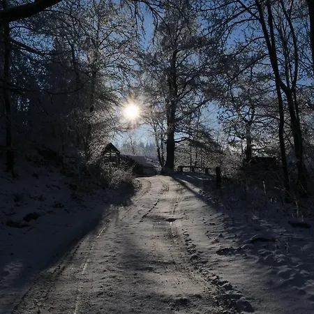 Broche 希尔兴巴赫