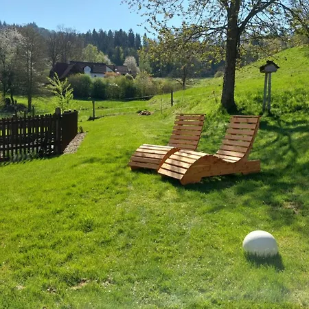 Broche 希尔兴巴赫