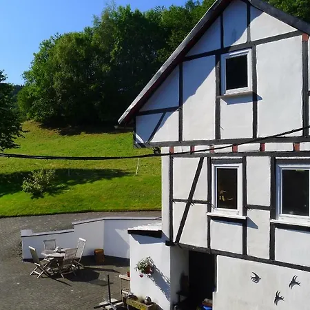 Broche * 希尔兴巴赫