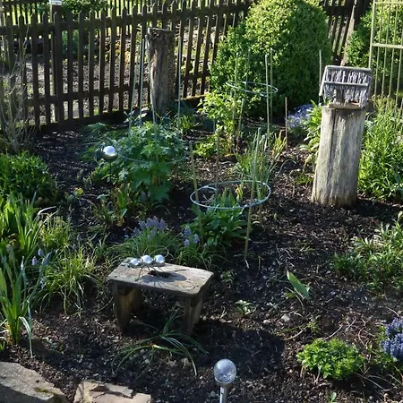 Broche * 希尔兴巴赫