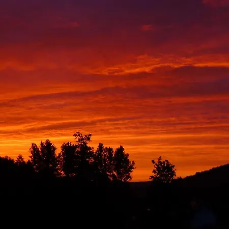 Broche アパート *