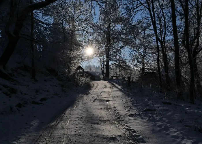 Broche هيلشنباخ