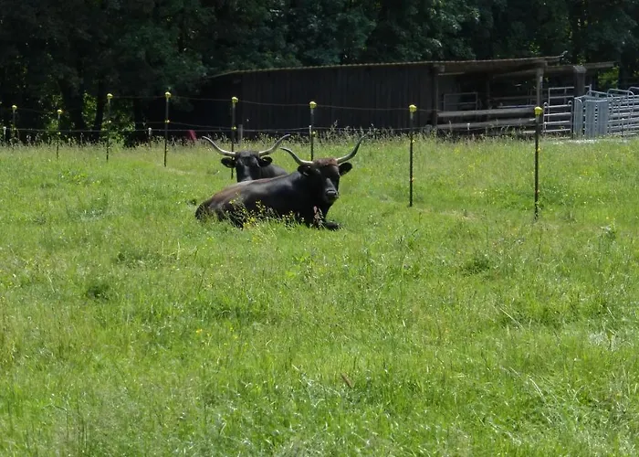 شقة Broche هيلشنباخ