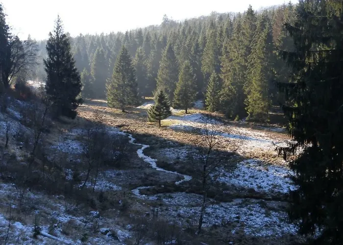 Broche * هيلشنباخ